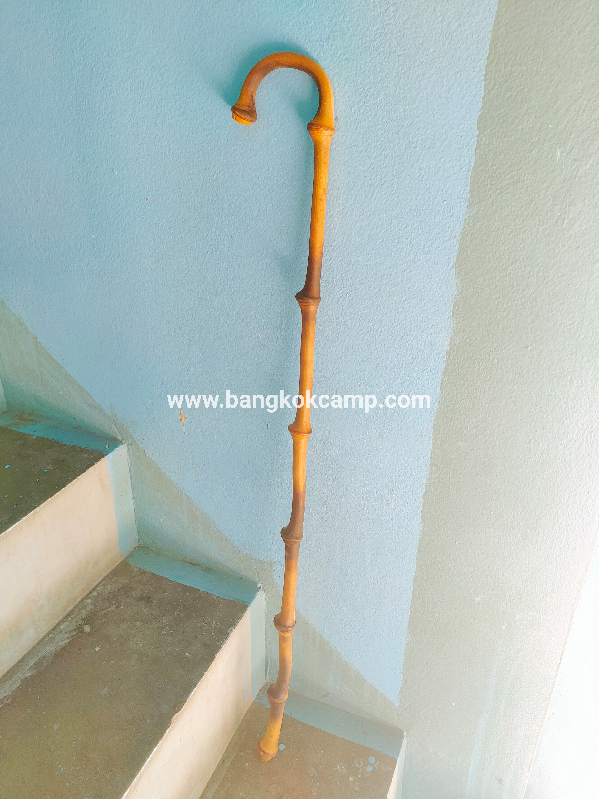 ไม้เท้าไผ่จีนโบราณข้อปูดๆ ไม้เท้าไผ่เติ้ง(เสี่ยวผิง) (10)