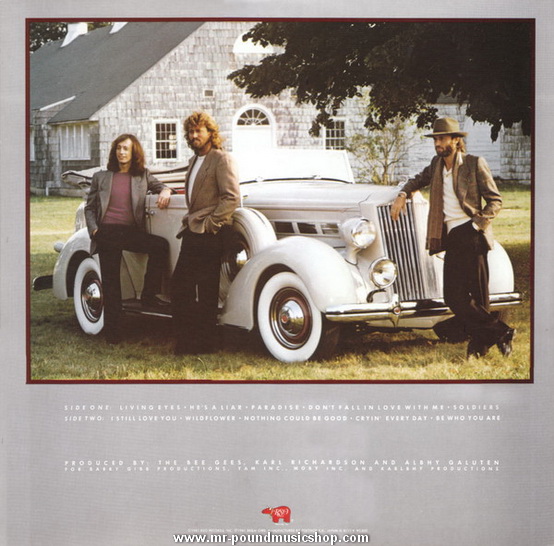 Bee Gees - Living Eyes