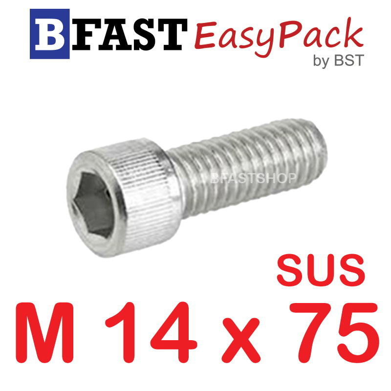 สกรูหัวจมสแตนเลส SUS M14 x 75 (1 ตัว/ถุง)