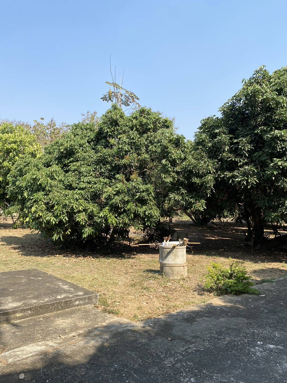 ให้เช่าที่ดินสวนลำไย 10 ไร่ +- ที่ดินติดถนนดำ หน้ากว้าง ใกล้ชุมชน น้ำไฟเข้าถึง ตำแหน่งที่ตั้ง ตำบล นาแก้ว อำเภอ เกาะคา จังหวัด ลำปาง
