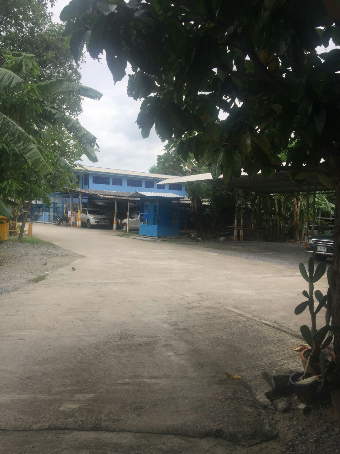 ขายที่ดินติดแม่น้ำเจ้าพระยา เนื้อที่ 4 ไร่ ส่วนเกินที่เป็นกรรมสิทธ์ที่ยื่นในน้ำ 2 ไร่ หน้ากว้างด้านแม่น้ำ 40 เมตร ลึก 150 เมตร