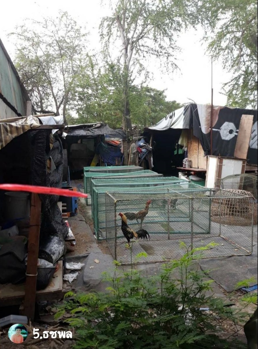 ขายที่ดินในซอยอ่อนนุช 65 แยก 9 ขนาด 100 ตรว. ราคาขาย 3,200,000 บาท ค่าโอนคนละครึ่ง