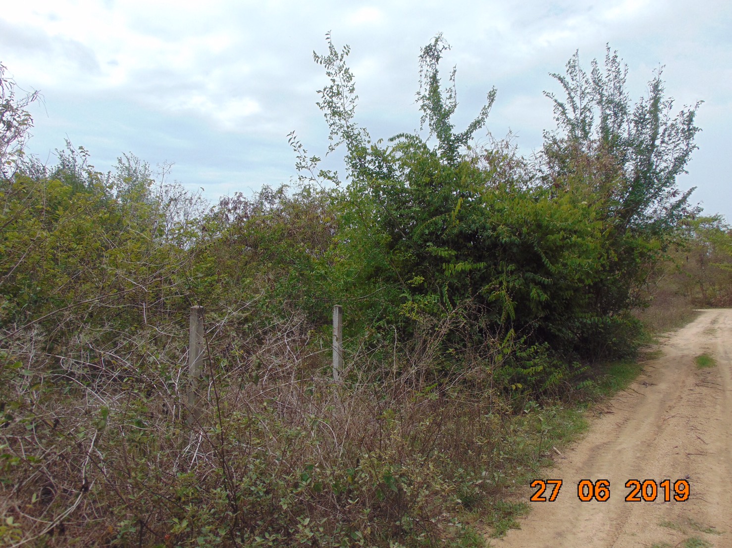 ห้เช่าที่ดินหลังศาลจังหวัดหัวหิน เนื้อที่ประมาณ 10 ไร่ สามารถแบ่งเช่าได้