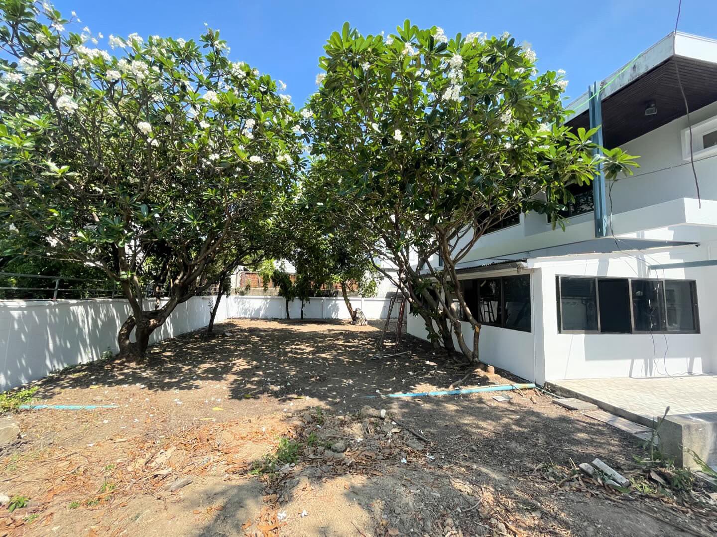 ให้เช่าบ้านเดี่ยว รัชดาภิเษก ซอย 19 / For Rent Single House Ratchadaphisek Soi 19 (English below)