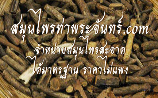 รากย่านาง