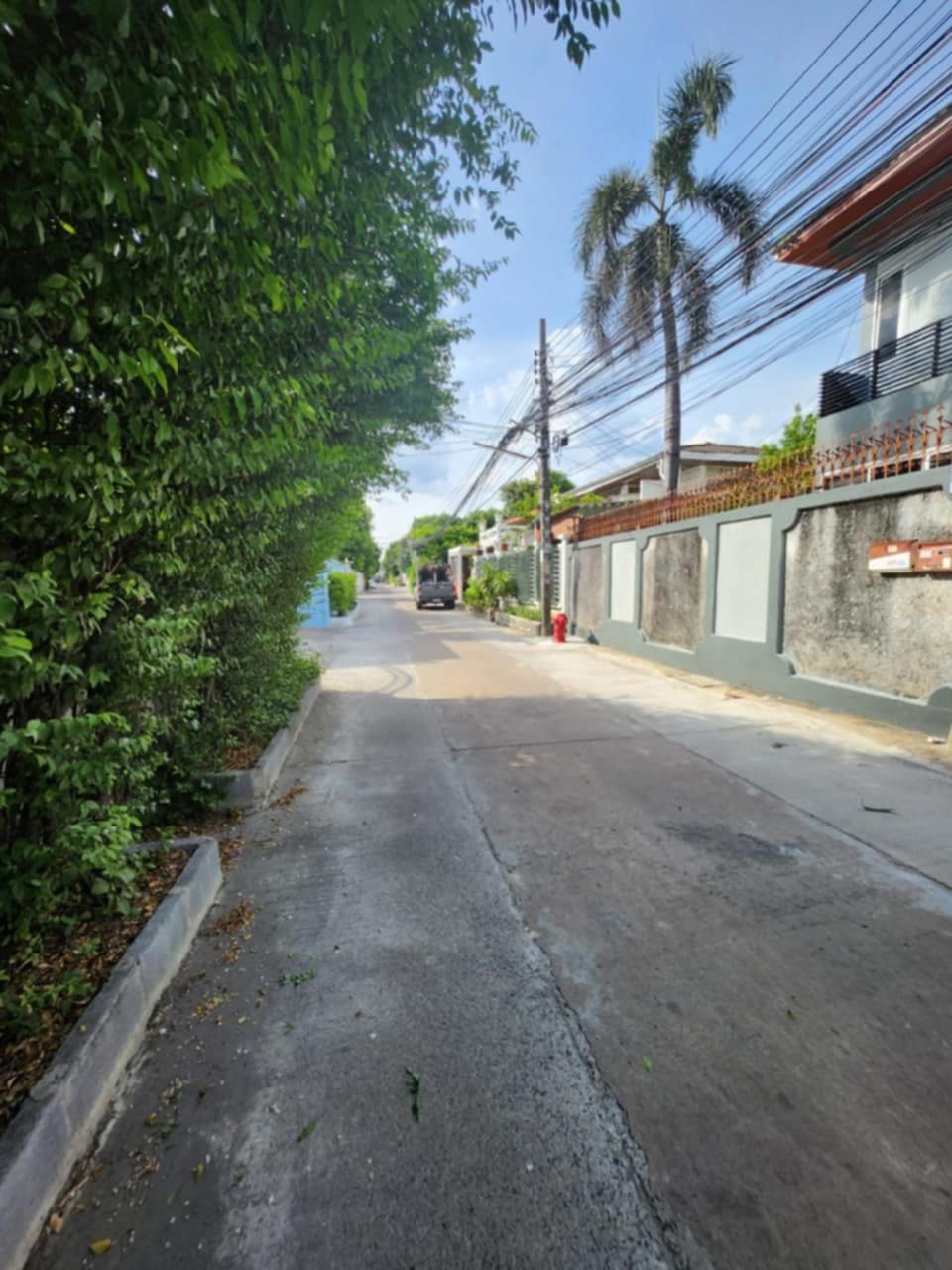 🌟 ให้เช่าบ้านเดี่ยว Sukhumvit 93 | บ้านใหญ่ 81 ตร.วา + เรือนไม้สัก ใจกลางสุขุมวิท พร้อมอยู่ 🌟