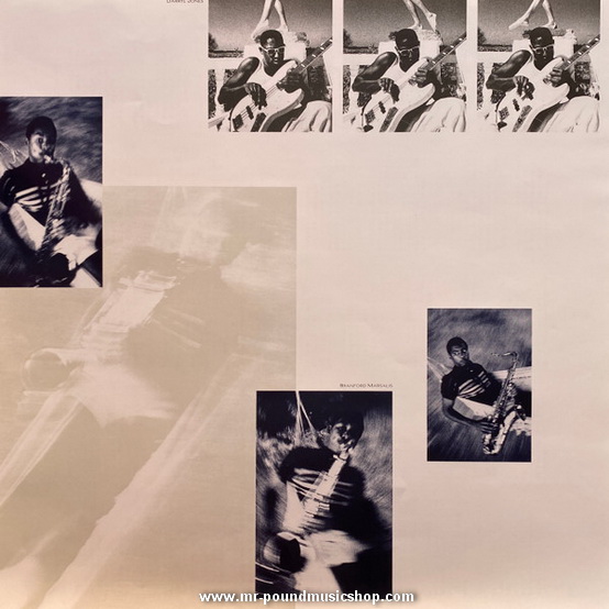 Sting - The Dream Of The Blue Turtles