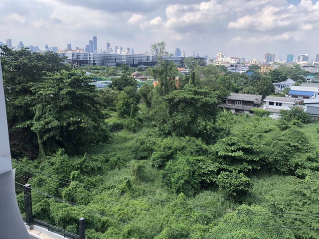 ขายคอนโด KAWA HAUS (คาวะ เฮาส์) 1 ห้องนอน 1 ห้องน้ำ ชั้น 6 ขนาด 37.67ตรม ห้องแต่งครบ