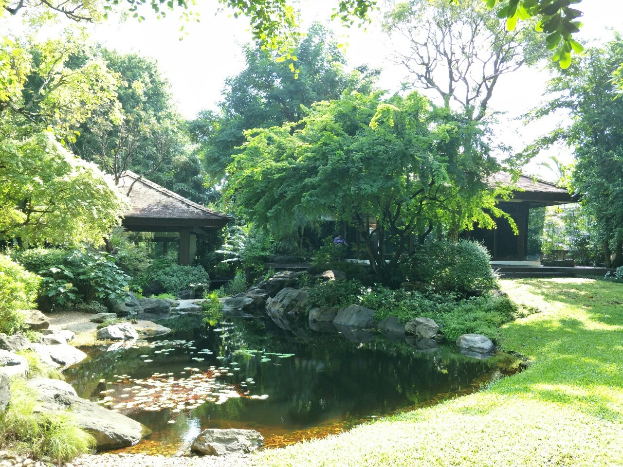 ขายเดี่ยวสไตล์สวนป่าธรรมชาติผลงานการจัดสวนอันทรงคุณค่าชิ้นสุดท้ายของนักจัดสวนมือหนึ่งของประเทศไทย คุณพิชัย จิโรภาส บ้านสวนสไตล์รีสอร์ท