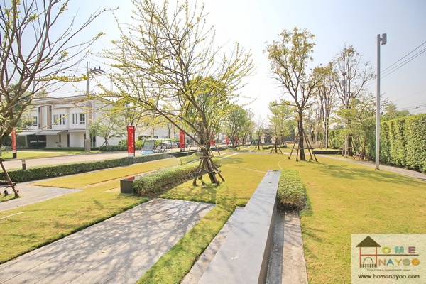 ขาย / ให้เช่าทาวน์โฮม 2 ชั้น โครงการ พลีโน่ วงแหวน-รามอินทรา Pleno Wongwaen-Ramintra 3 ห้องนอน 2 ห้องน้ำ ขนาด 29.9 ตรว