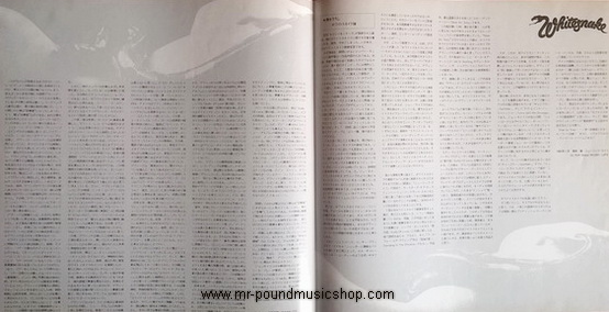 Whitesnake - Slide It In