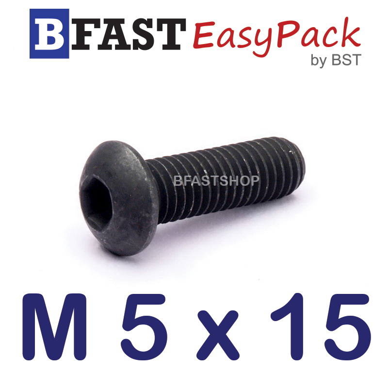 สกรูจมกลมดำ M 5 x 15 (12 ตัว/ถุง)