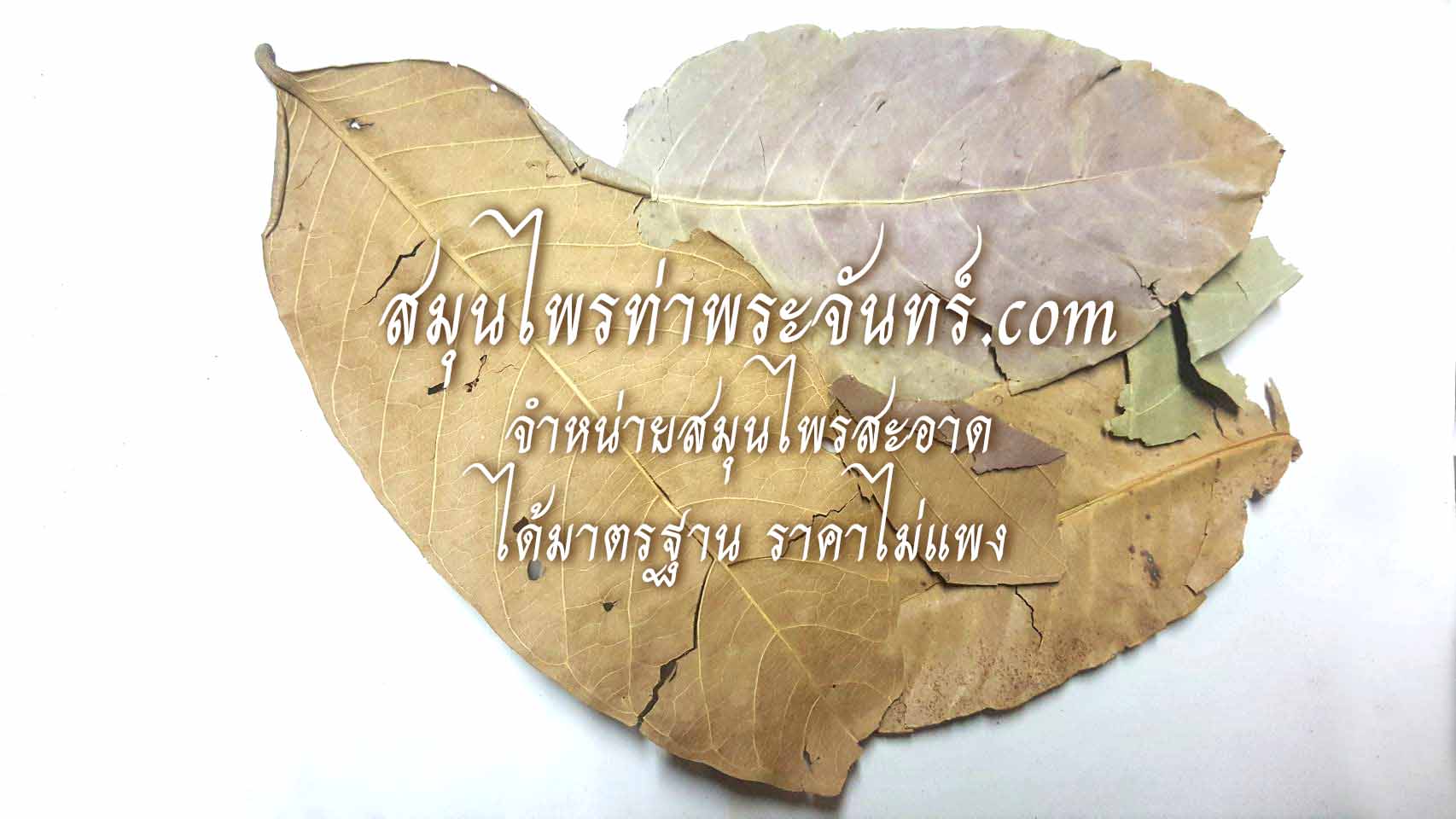 สมุนไพรอินทนิล