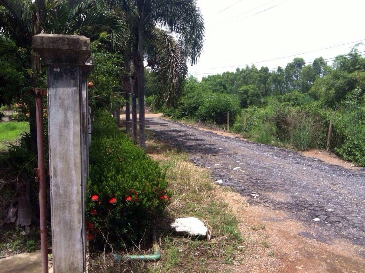 ขายที่ดินพร้อมสิ่งปลูกสร้างพื้นที่ 96 ไร่เศษ ติดถนนเลียบคลอง12 รังสิต-นครนายก