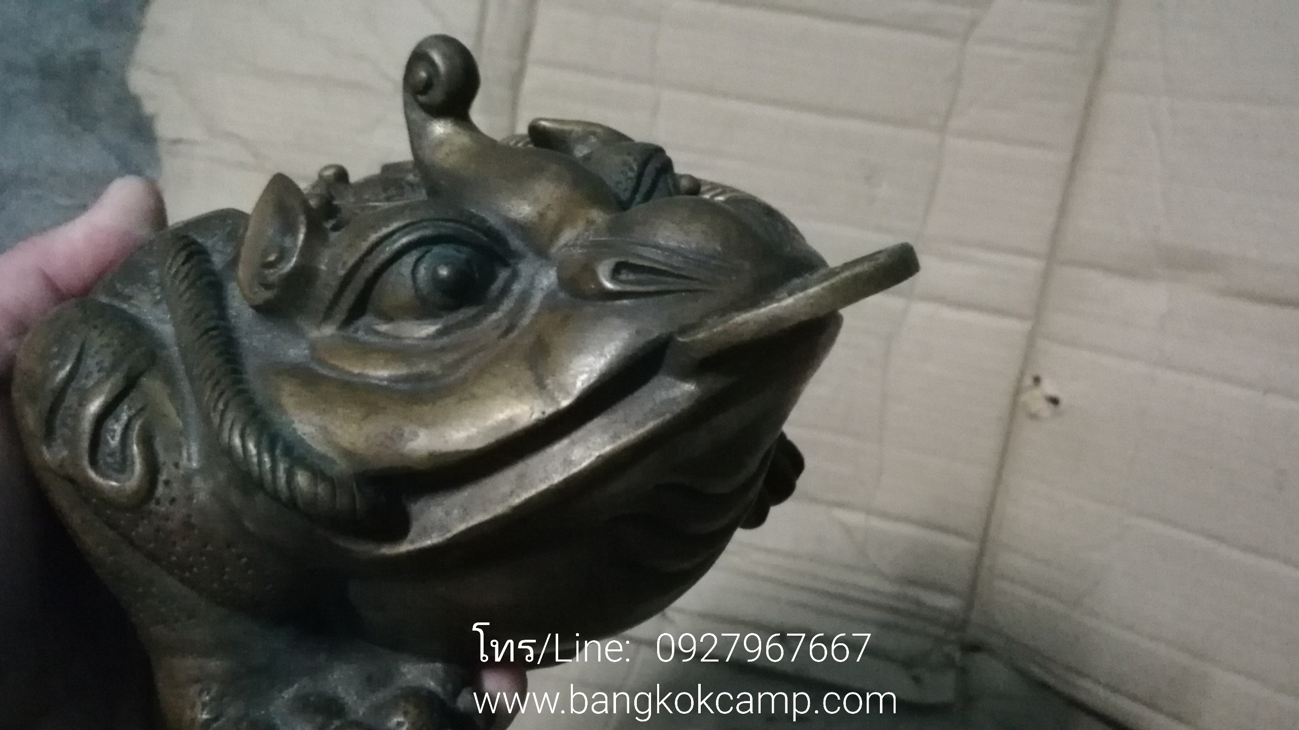 คางคกสามขาคาบเหรียญ (กิมเซียมซู) คางคก3ขาทองเหลือง (2)