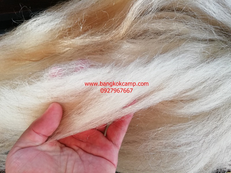 แส้ขนจามรีแท้ ด้ามหนัง​ ใหม่เก่าเก็บ ไม่ผ่านการใช้ (3) ขนสีขาว หายาก