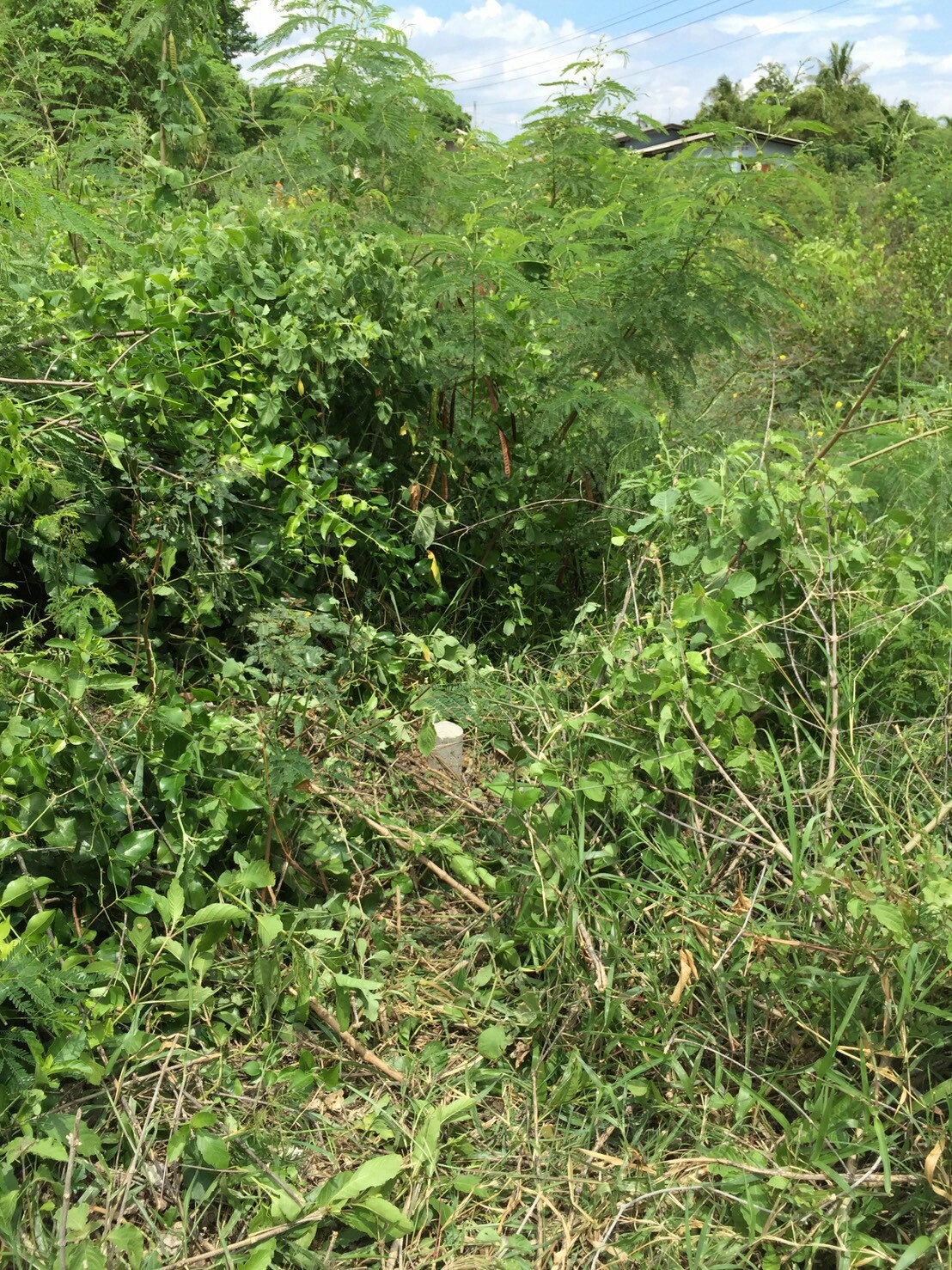 รหัสทรัพย์ 87582 ขายที่ดิน 2 แปลงจังหวัดนครปฐม 2 แปลงติดกัน