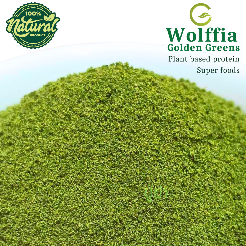 G-Wolffia ผำแห้ง ไข่ผำอบแห้ง (Dried Wolffias) ขนาด 200ml (60 กรัม)
