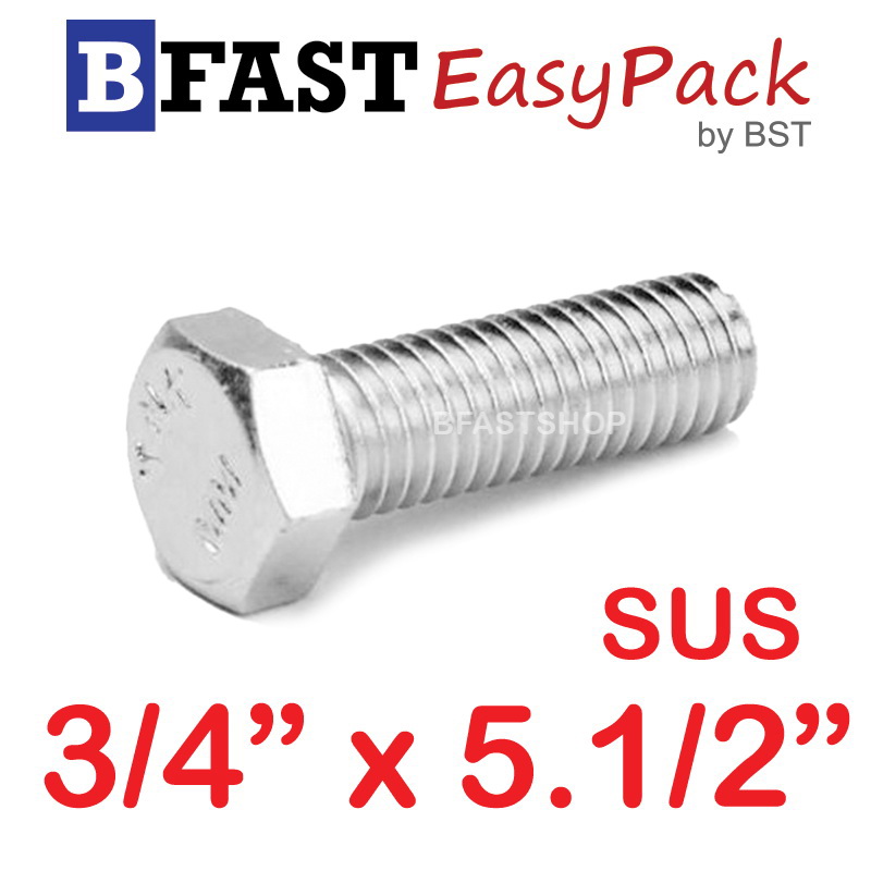สกรูหัวเหลี่ยมสแตนเลส 3/4" x 5.1/2" (1 ตัว)
