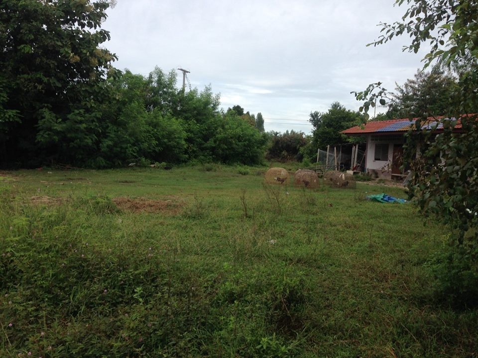 ขายที่ดิน พร้อมห้องแถว 2 ไร่ 3 งาน 80 ตารางวา ติดถนน ติดคลองชลประทาน ตำบล คลองตาคต อำเภอ โพธาราม จังหวัดราชบุรี ราคา 2.5 ล้าน