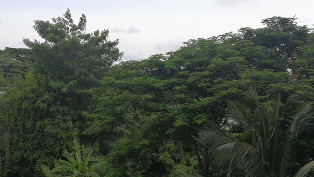 ขาย / เช่าคอนโด Notting Hill The Exclusive CharoenKrung นอตติ้ง ฮิลล์ ดิ เอ็กซ์คลูซีฟ เจริญกรุง 93 3 ยูนิต แต่งสวย วิวสุดยอด ขายพร้อมผู้เช่า ผลตอบแทนจากการเช่าดีมาก