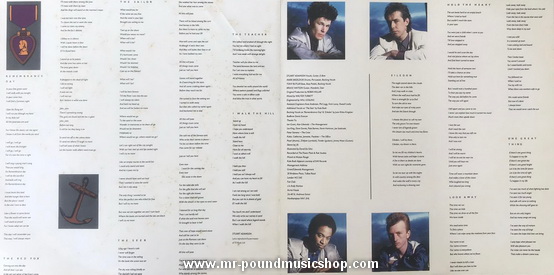 Big Country - The Seer