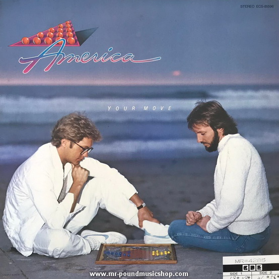 America - Your Move