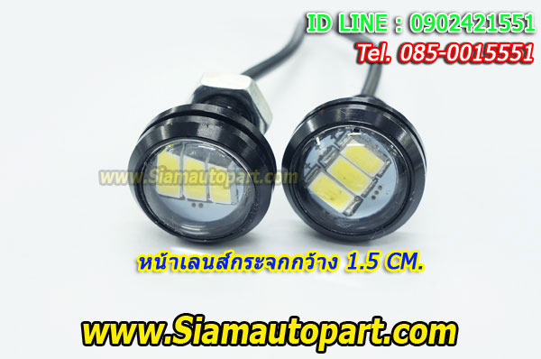 ไฟตาแมว Daylight ชิป5730 ทรงกลม แสงสีขาว