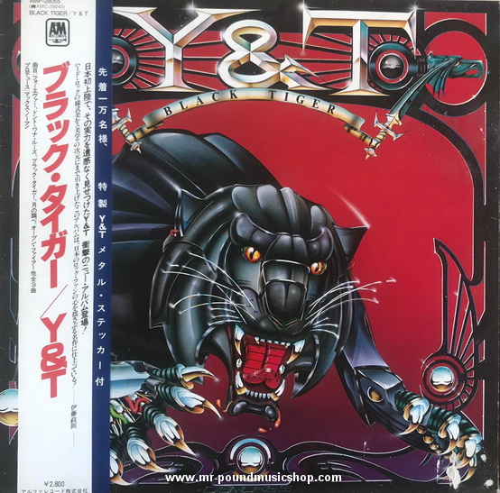 Y&T - Black Tiger
