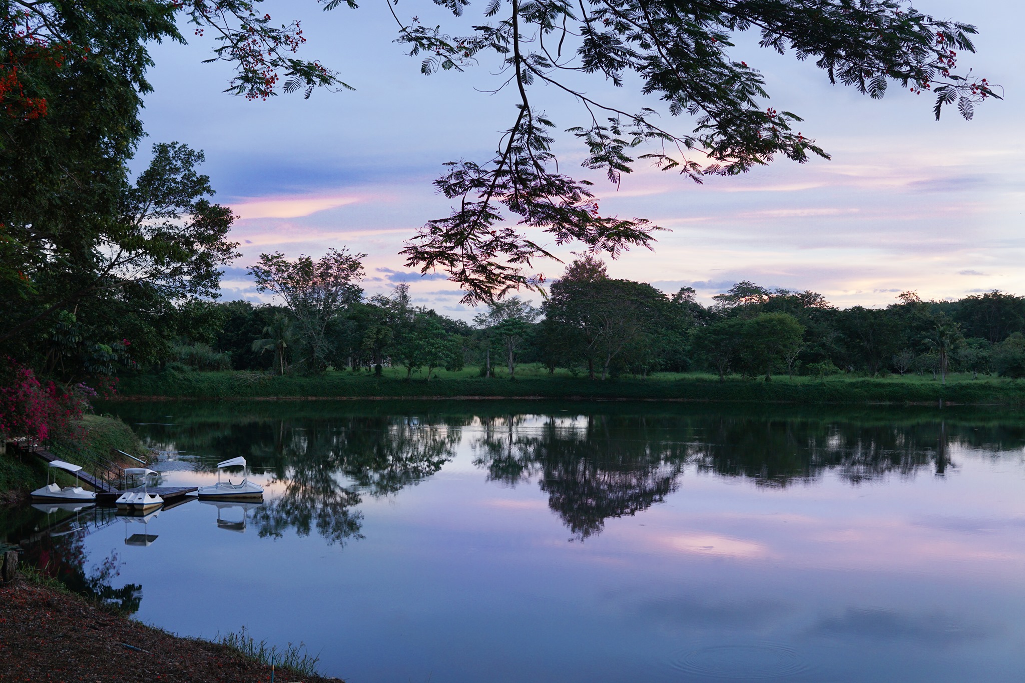ขายที่ดินจัดสรรแบ่งขายในโครงการ แรบบิซ ฮิลส์ รีสอร์ท (Rabbiz Hill Resort) อำเภอ แก่งหางแมว, จังหวัดจันทบุรี
