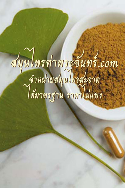 สมุนไพรใบแปะก้วย