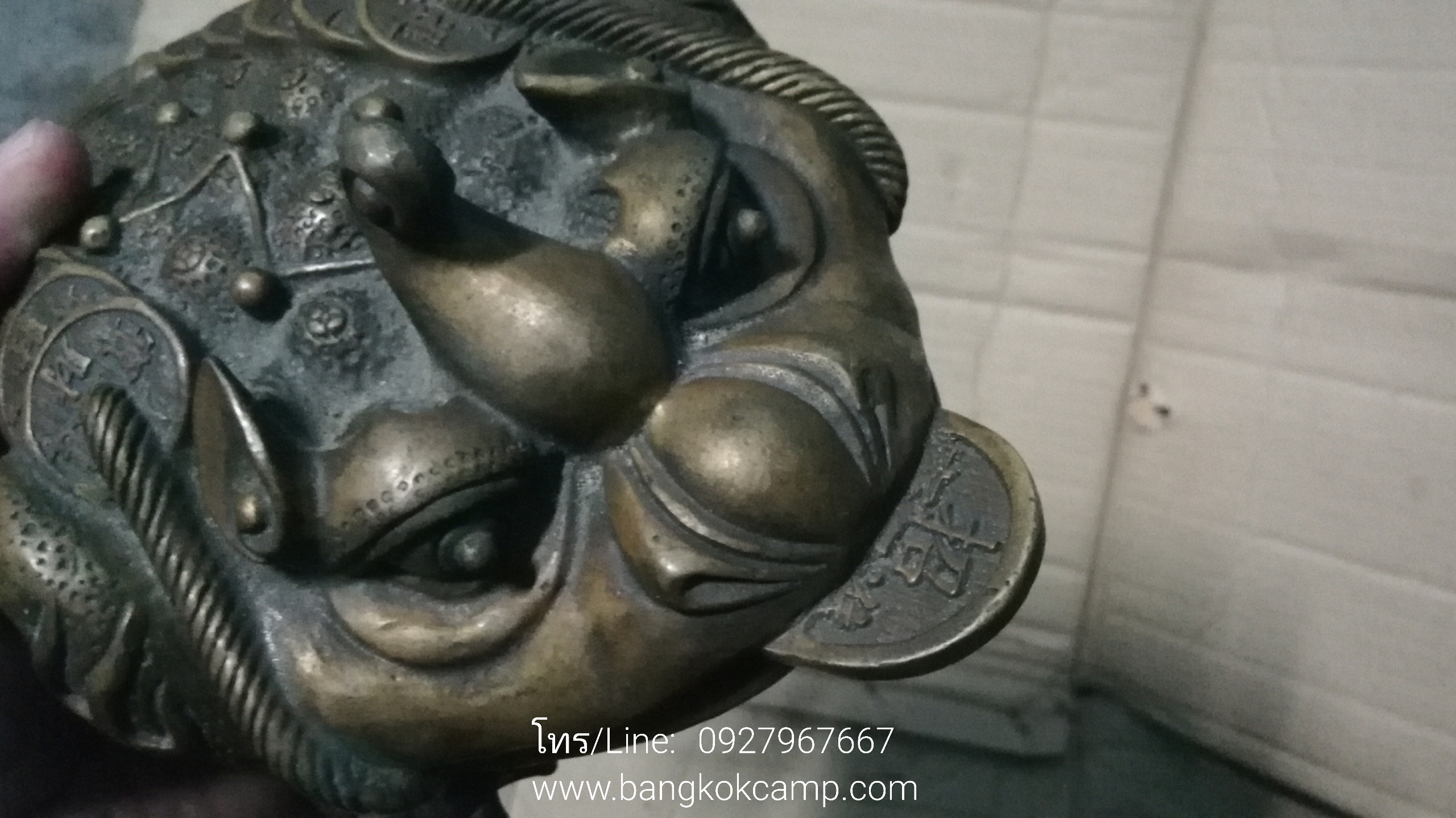 คางคกสามขาคาบเหรียญ (กิมเซียมซู) คางคก3ขาทองเหลือง (2)