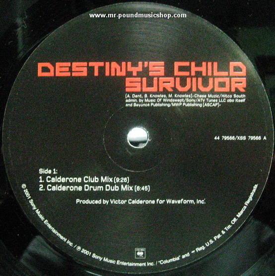 Destiny's Child - Survivor