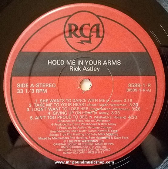 Rick Astley - Hold Me In Your Arms