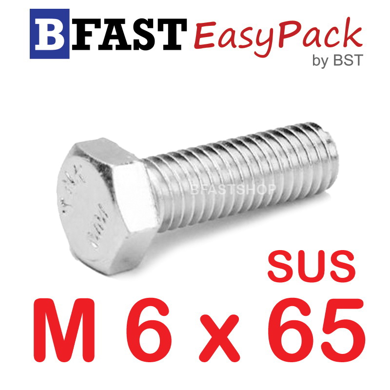 สกรูหัวเหลี่ยมสแตนเลส M6 x 65 (4 ตัว)