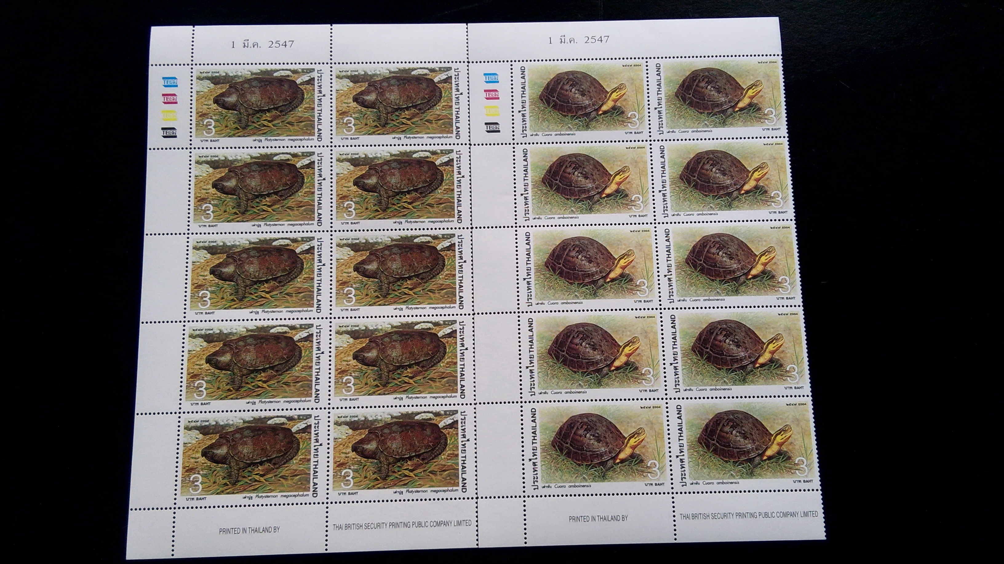 ชุดเต่า ปี 2547 บล็อค 10