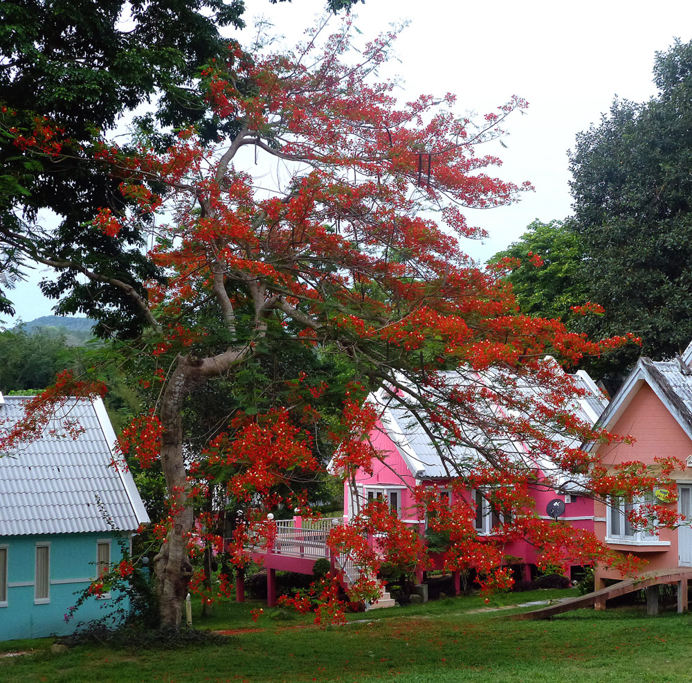 รหัสทรัพย์ 32240 ให้เช่า / ขาย บ้านเดี่ยว 2 ชั้น ใน Brookside Valley Rayong ใกล้ทะเลสาบ ( เดินแค่ 20 วินาที ) เนื้อที่ 105 ตรว. 3 ห้องนอน 2 ห้องน้ำ โซฟาสามารถปรับเป็นเตียงนอนได้