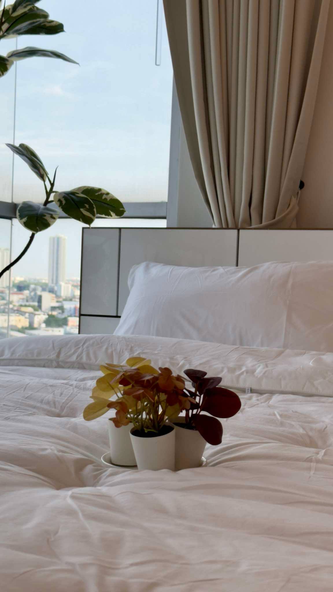 🔥 ขายด่วน! คอนโด Le Rich Rama 3 (เลอริช พระราม 3) 🔥 💰 เพียง 3.5 ล้านบาท เท่านั้น! (ค่าโอนคนละครึ่ง)