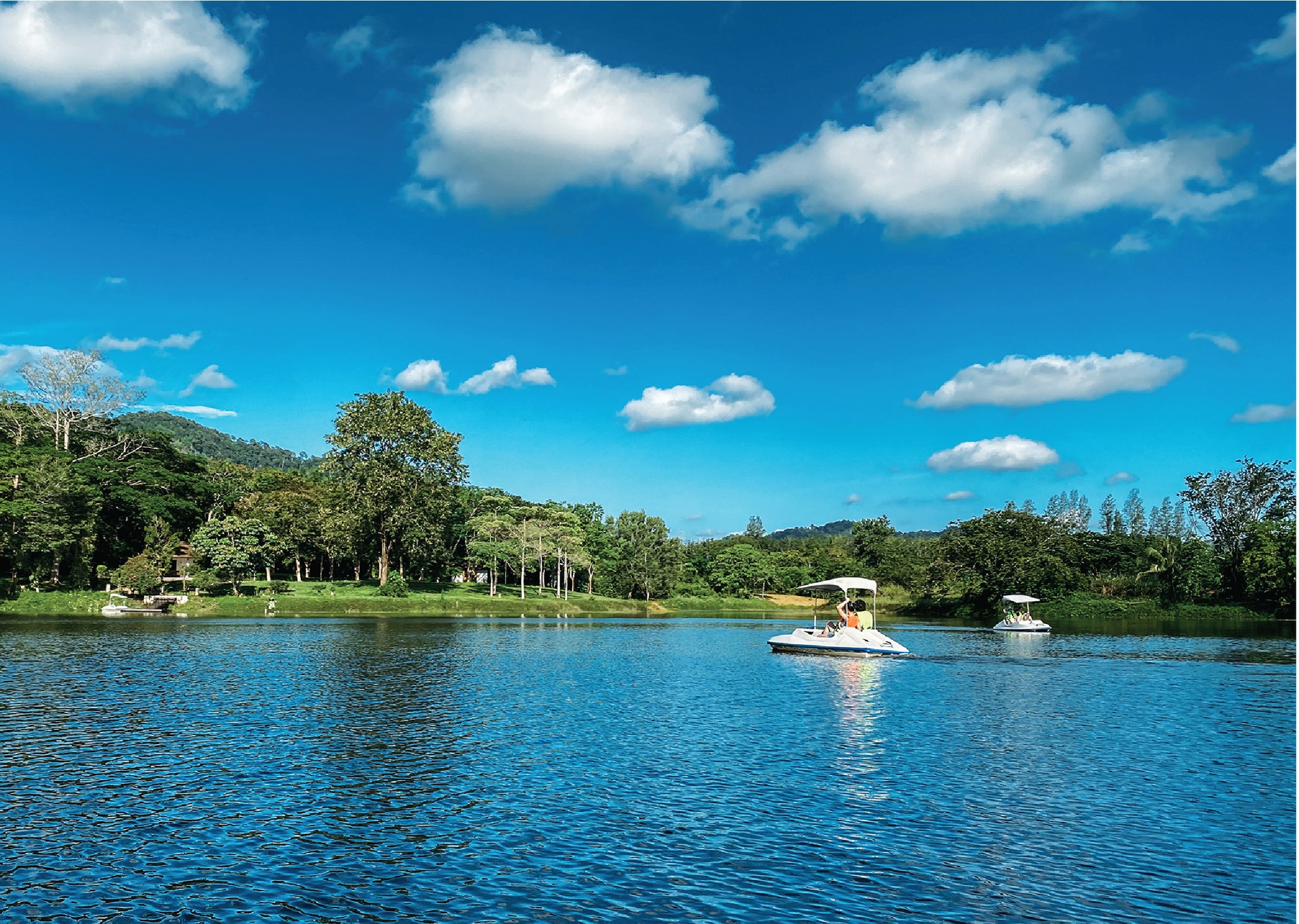 ขายที่ดินจัดสรรแบ่งขายในโครงการ แรบบิซ ฮิลส์ รีสอร์ท (Rabbiz Hill Resort) อำเภอ แก่งหางแมว, จังหวัดจันทบุรี