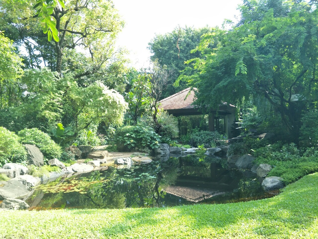 ขายเดี่ยวสไตล์สวนป่าธรรมชาติผลงานการจัดสวนอันทรงคุณค่าชิ้นสุดท้ายของนักจัดสวนมือหนึ่งของประเทศไทย คุณพิชัย จิโรภาส บ้านสวนสไตล์รีสอร์ท