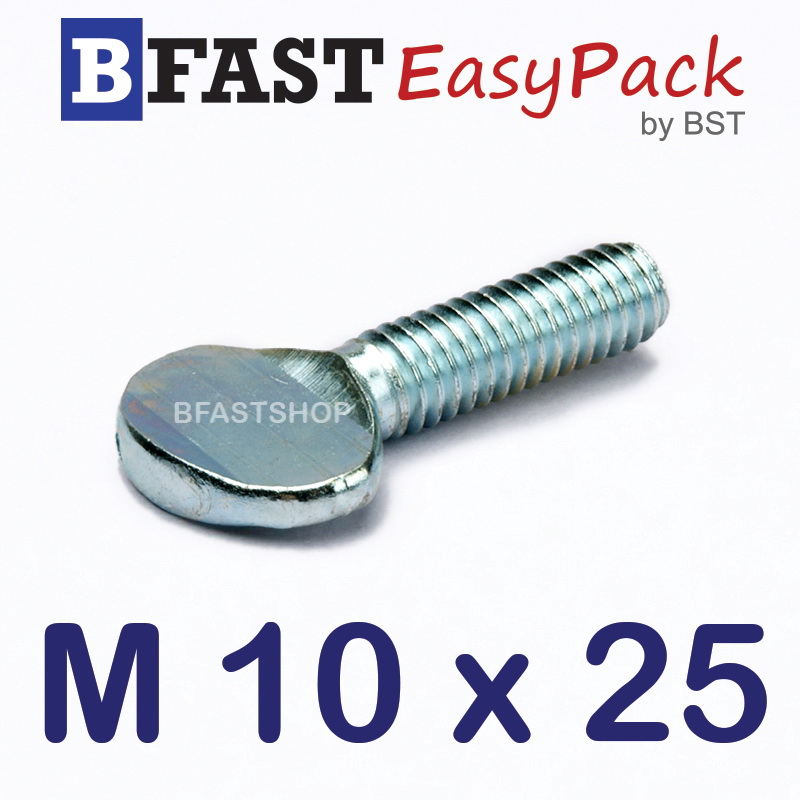 สกรูหางปลาแบน M10 x 25 (2 ตัว/ถุง)