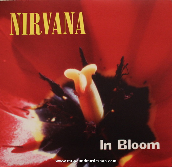 Nirvana - Nevermind-The Singles