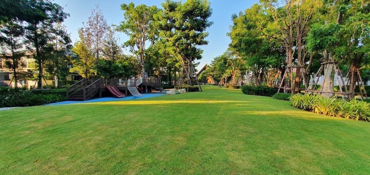 ให้เช่าบ้านหรู ติดสวน ติด Clubhouse บ้านเดี่ยวโครงการ Burasiri Pattanakarn : บุราสิริ พัฒนาการ 4 ห้องนอน 5 ห้องน้ำ ขนาด 250 ตรม