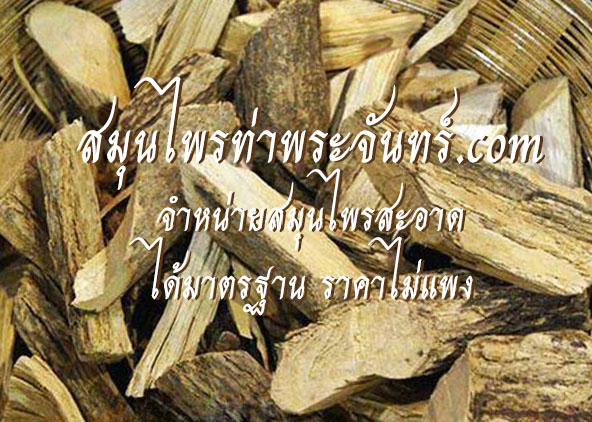 สมุนไพรชิงชี่ / ชิงซี่