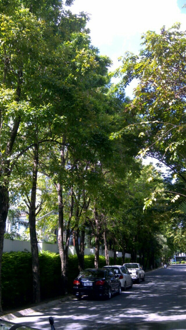 รหัสทรัพย์ 66466 ขาย / เช่า บ้านเดี่ยว Noble Tara Town in town โนเบิล ทารา ทาวน์ อิน ทาวน์ พระรามเก้า ห้อง 3 ห้องนอน 2 ห้องน้ำ 1 ห้องรับแขก 1 ห้องทานอาหาร 1 ห้องครัว