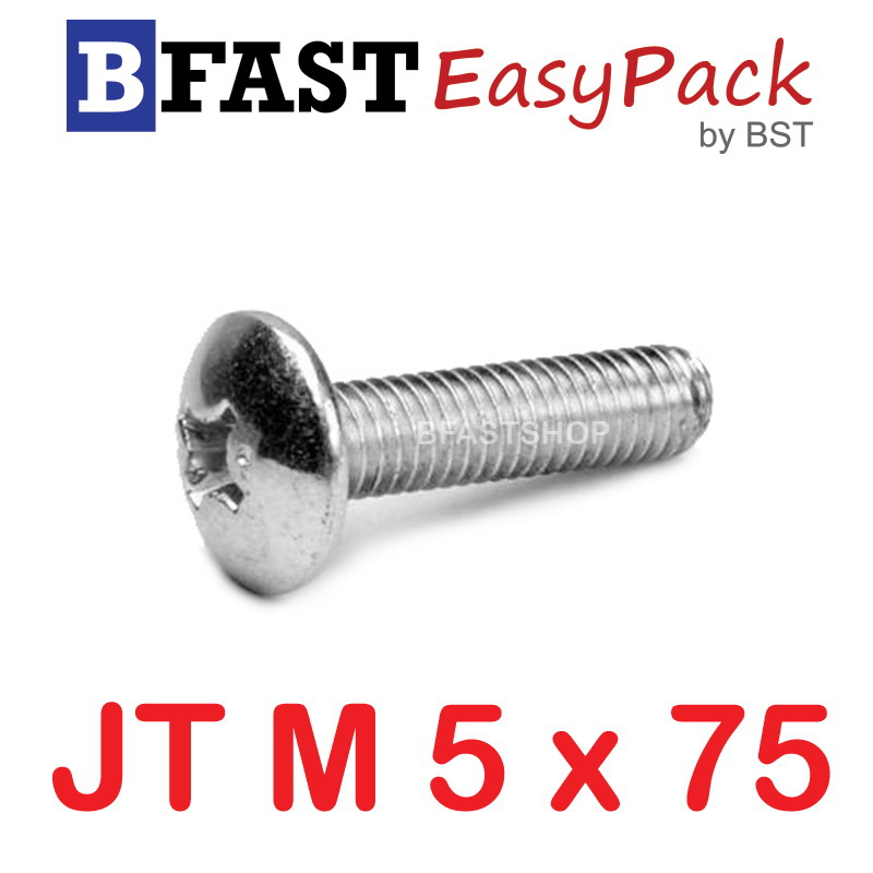 สกรูสแตนเลส SUS JT M5 x 75 (2 ตัว/ถุง)