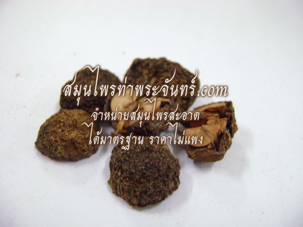 มะขามป้อม