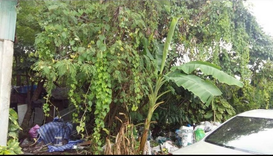 ขายที่ดินในซอยอ่อนนุช 65 แยก 9 ขนาด 100 ตรว. ราคาขาย 3,200,000 บาท ค่าโอนคนละครึ่ง