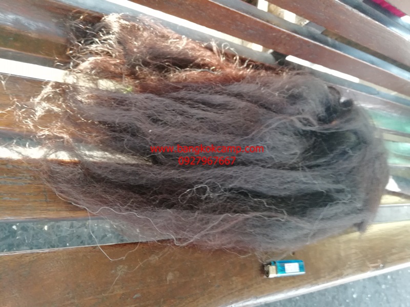 แส้ขนจามรีแท้ ด้ามหนัง​ ใหม่เก่าเก็บ ไม่ผ่านการใช้ (2) ขนสีดำ หายาก