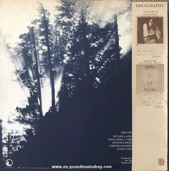 Dan Fogelberg - Nether Lands